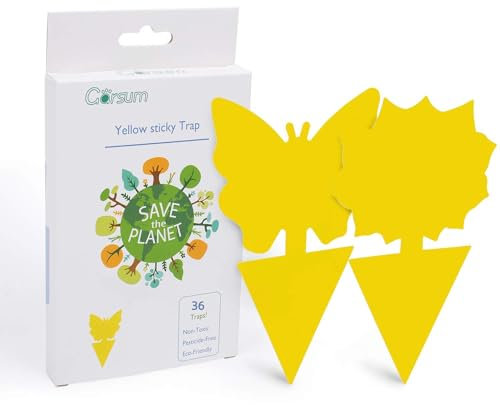 Garsum 36 Pack Fruit Fly Sticky Trap for Indoor and Outdoor, Fungus Gnat Killer for Houseplant,Mosquitos, Flying Insect, White Flies