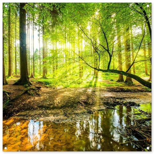 MuchoWow© Garden Poster Outdoor Wall Decor Posters Decorations Balcony | 39x39 / 100x100 cm - Accessories Outside Decoration Forest - Landscape - Water - Trees - Green - Nature