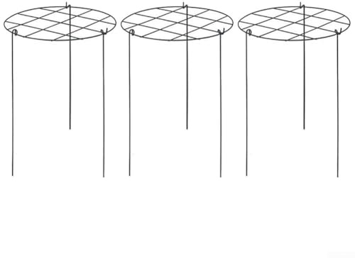 3 soportes de hortensias para plantas y trepadoras de plantas para apoyar el crecimiento (tipo rejilla)