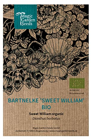 Bartnelke 'Sweet William' (Dianthus barbatus) Bio - ca. 100 Samen