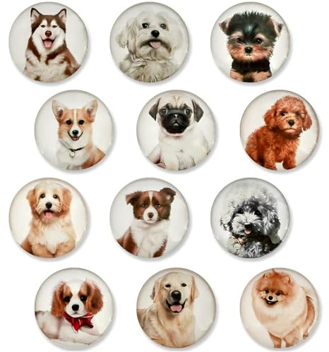 Hshenjhu 12 Piezas Perro Imanes Nevera, Potentes Mini Redondos Imanes para Nevera, Imanes Decorativos de Vidrio para Nevera, para Pizarra, Nevera, Cocina y Oficina（Redondos/30 mm）