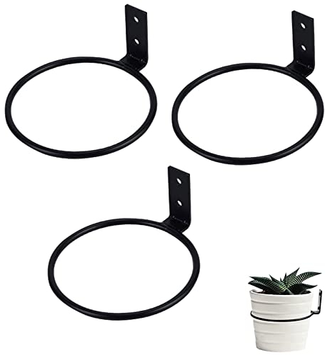 hifrom 3 Stück Wand Blumentopfhalter Ring Blumentopf Wandhalterung Outdoor Blumenkastenhalterung Pflanzenhalter Wand Kräuterregal Pflanzen Blumentopfhaken für Hausgarten Balkon Garten Balkon