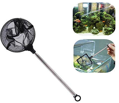 Aquarium Kescher Net Fangnetz Shrimp Net Fischnetz Aquarium Fischkescher Goldfischnetz Mini Einstellbare Teleskopfische Garnelen Kescher für Aquarium Fishbowlf(rund)