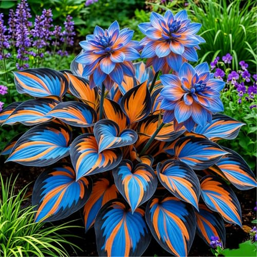 Hosta Tolera la sombra y fácil de cuidar - Ideal para principiantes - Fácil de cultivar tanto en interior como en exterior-4 piece-B