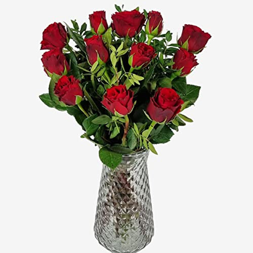 A Dozen Red Roses - Fresh Letterbox Flowers - Romantic Gift of 12 Red Roses - Perfect for Valentine's, Mother's Day, and Anniversaries