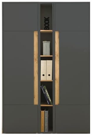 Aktenschrank Set in grau matt und Wotan Eiche 2X Stauraumschrank und Regal für Homeoffice Büroschrank Hochschrank Ordnerschrank modern 120 x 200 cm Center (Set 3)