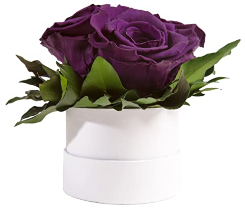 ROSEMARIE SCHULZ Heidelberg Infinity Rosenbox weiß rund konservierte Blumen Dunkelviolett - 3 Infinity Rosen Durchmesser 15 cm - Geschenk für Frauen (Violett, Medium)