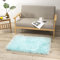 Teppich Wölkchen Schaffell Lammfell Imitat Fellteppich Kunstfell Teppich Waschbar - Flauschiger Teppich Wohnzimmer, Bettvorleger Schlafzimmer, Teppich Fell - Mint Grün - 60x90 cm
