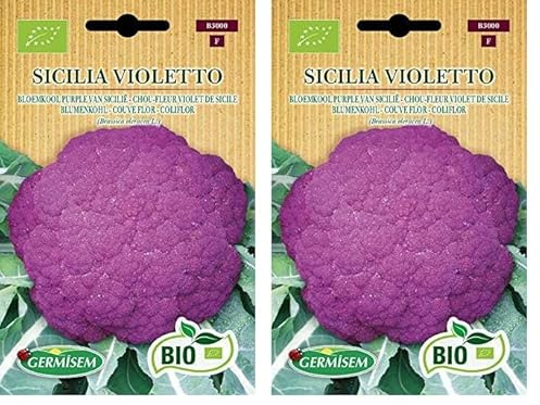 Germisem Orgánica Sicilia Violetto Semillas de Coliflor 1 g (ECBIO3000) (Paquete de 2)