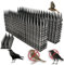 FGXY 20pcs Vogelabwehr Spikes,Dachhohe Spikes,Taubenabwehr Spikes, Zaun Spikes, Perfekt Für Die Abwehr Von Vögeln, Eichhörnchen, Katzen, Usw.Geeignet Für Zäune, Balkone, Dächer (Schwarz)