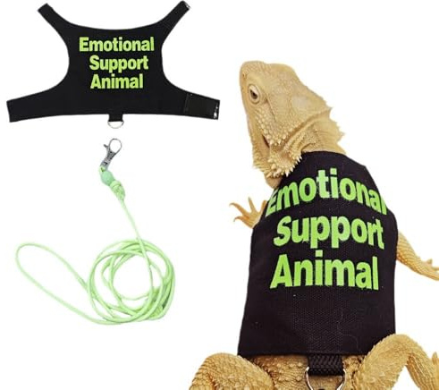 Fnaobai Bearded Dragon - Set di pettorina e guinzaglio regolabile per rettili e lucertola, kit per principianti, accessori per piccoli animali, per addestramento all'aperto a piedi (verde)