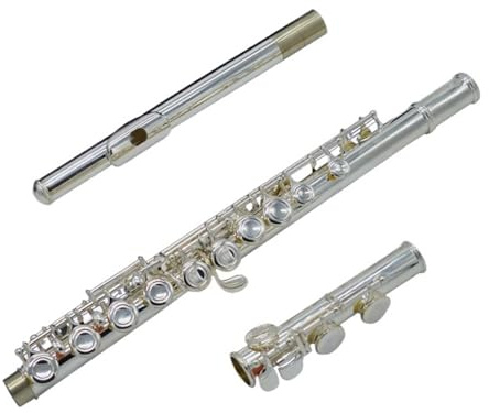 tvärflöjt instrument Flöjt 16 slutna hål instrument nybörjarflöjt