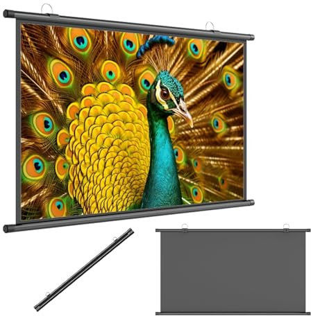 Hoiweqr 60/70 Projector Screen, 4:3/16:9 Anti-Crease Portable Projection Movies Screens, Portable Projector Movie Screen for Home Cinema, Meeting Presentation, Indoor Outdoor(16:9,60in)
