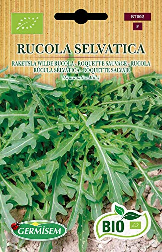 Germisem Rucola RUCOLA SELVATICA, ECBIO7002