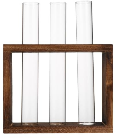 HOMSFOU Vase à Tube à Essai en Verre et Bois, Design Simple et Rond, Pot de Fleurs Hydroponique pour Décoration Intérieure et Plantes D’Eau