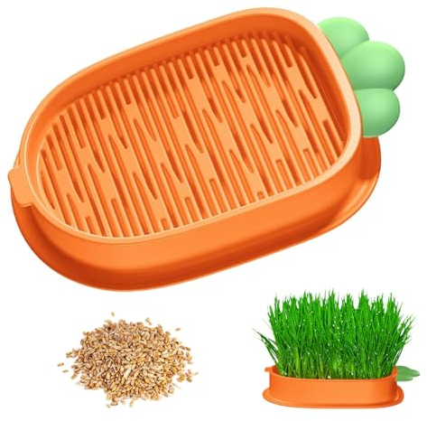 GUOYOU Kit de Culture d'herbe à Chat, Boîte en Plastique Hydroponique sans Sol Herbe a Chat, Facile à Cultiver, Germoir d'herbe à Chat avec 5pièces Graine Herbe a Chat, pour Chiens de Chat Animaux