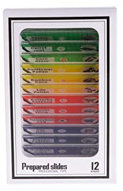 Kunststoff Vorbereitete Mikroskop Objektträger Biologische Proben Pflanze Probe Für Kinder Wissenschaft Pädagogische Lieferungen Verpackt In Einem Weißen Kasten