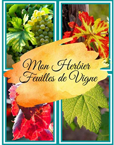 Mon Herbier Feuilles de Vigne: Cahier à réaliser soi-même avec des feuilles de vigne récoltées lors de vos escapades en région viticoles. Pour les ... de feuilles un notebook de 108 pages