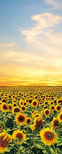 A.Monamour Adesivo Porta Autoadesiva Tramonto Su Un Campo Di Girasoli In Fiore Vinile PVC Adesivi per Porte Interne 3D Pellicola Adesiva Poster Sticker Murale Parete Carta da Parati