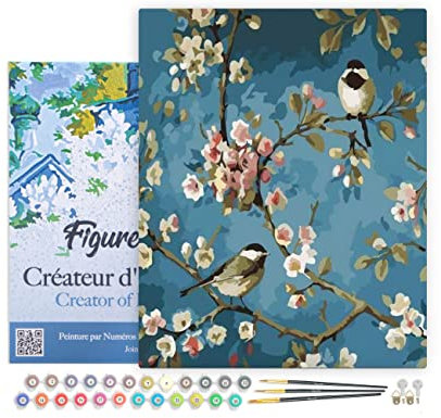 Figured'Art Peinture par Numéro Adulte avec Cadre Fleurs et Oiseaux - Activité Manuelle Kit de Loisir Créatif DIY Numéro d'Art Complet - 40x50cm toile tendue sur châssis