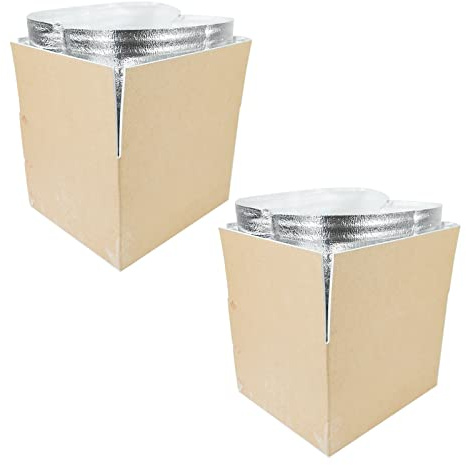 STRBOXONG Thermo Chill Double Insulated Carton with Foil Insulated Bag Liner, Cold Shipping Box for Frozen Food, Cooler Moving Box for Posting, Small Parcel Postage Mailing 290x235x170mm (2 Pieces)