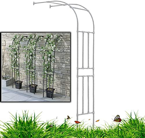 Arche de jardin en métal robuste - Blanc - 60 x 240 cm - Assemblage facile pour portail d'entrée extérieur