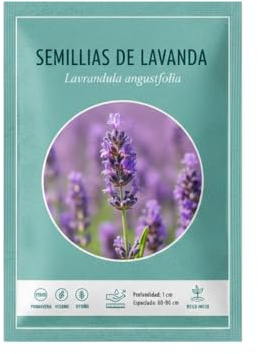 DECOALIVE Lavanda en Semillas para Jardín Seco y Soleado