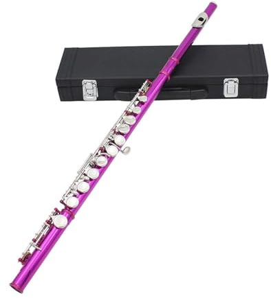 tvärflöjt instrument Nybörjarflöjtinstrument 16-håls flöjt C-nyckel