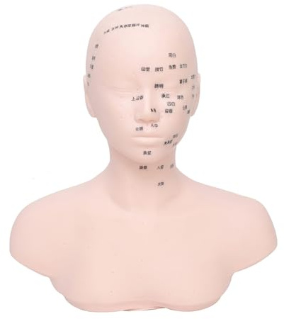 Schaufensterpuppe aus PVC mit abnehmbaren Funktionen für Gesichts- und Haarstyling-Fähigkeitsentwicklung, professioneller Gesichtsformungskopf