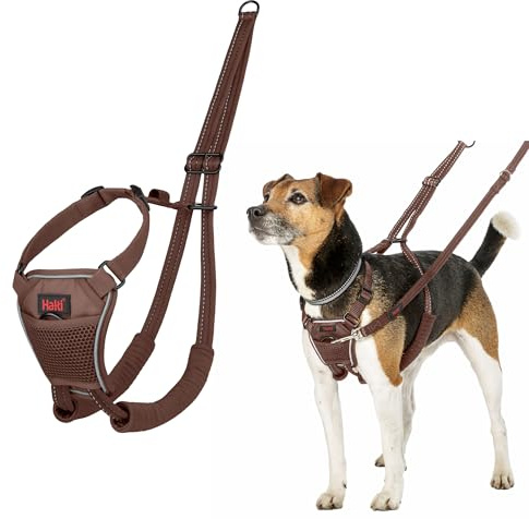 HALTI No Pull Anti-Zug Geschirr - Verhindert, dass Ihr Hund an der Leine zieht, Gepolsterter Brust- und Beingurt, Reflektierendes Gurtmaterial, Einfache Anpassung und Benutzung(Größe XS, Walnussbraun)