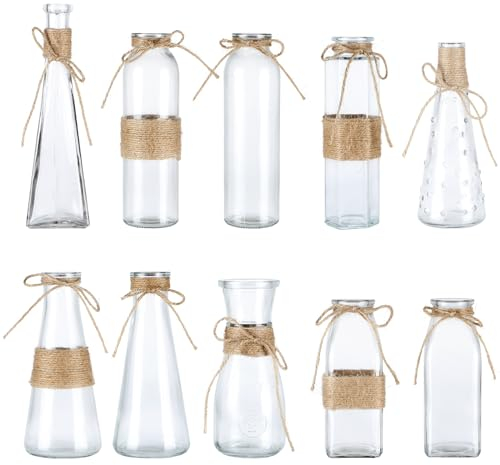 BIMUYI Flowers Vases, Glass Bud Decorative Vases with Rope, Vintage Glass Clear Bottles, Set of 10