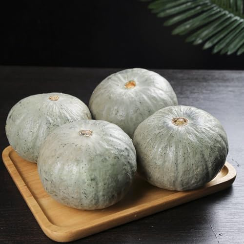 Semillas de calabaza - resistentes para jardines de rocas regalos sostenibles antiguas variedades semillas exótico calabaza ornamental jardín 100pcs