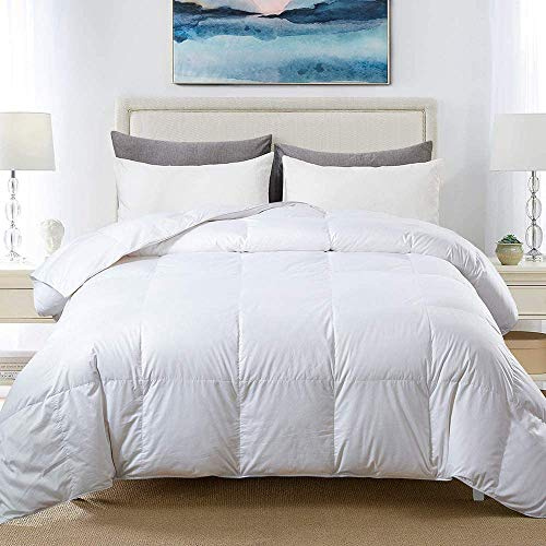 CosìCasa Piumino Letto Matrimoniale 200X250 cm - 200 gr/mq | Trapunta Microfibra Anallergica | Piumone Peso Medio | 2 Piazze Per Mezze Stagioni