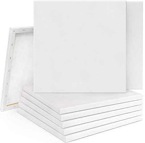 Supernic 20PCS 20x20cm Blank Artist Canvas Art Board Plain Painting Stretched Framed for Painting Enthusiast