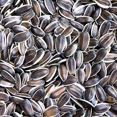 Supravit Sonnenblumenkerne I 1kg Beutel Vogelfutter I energiereiches Wildvogelfutter als Streufutter für das ganze Jahr