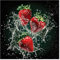 STYLER Küchenbild Strawberries 30 x 30 cm I FRISCHE FRÜCHTE I Glasbild mit spritzenden Erdbeeren I Bild für Küche & Esszimmer I Deko Wandbild modern I Obstbilder Set