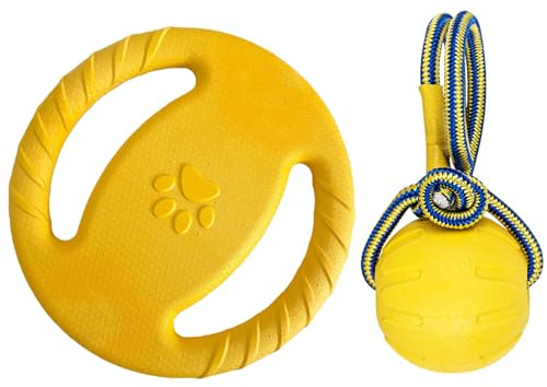 Shibida 2PCS Frisbee para Perros,Frisbee Perro,Disco Volador Interactivo para Ejercitar Deportes al Aire Libre para Adiestramiento de Perros Juguetes de Tiro, Captura y Juego