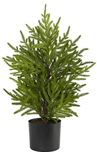 Nearly Natural 2ft. Norfolk Island Pine Natural Look Artificial Tree in Decorative Planter
