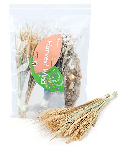 Niteangel Lecho Natural y Suave para Hámster: Decoración del Hábitat para Pequeños Animales como Hámsters Enanos Sirios, Gerbos, Ratones, Degús, Conejos u Otros Animales(Versión de Cosecha)