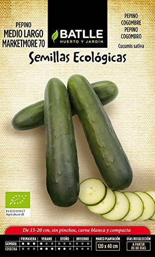 Semillas Ecológicas Hortícolas - Pepino Medio Largo Marketmore 70 - ECO - Batlle