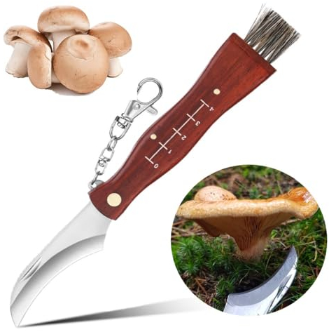 BUKCYUE Pilzmesser mit Bürste, Pilzmesser mit Bürste und Skala, Holzgriff Pilzmesser, Pilz Taschenmesser Aus Rostfreiem Edelstahl, Klappmesser mit Schlüsselanhänger, Geschenke für Pilzsammler