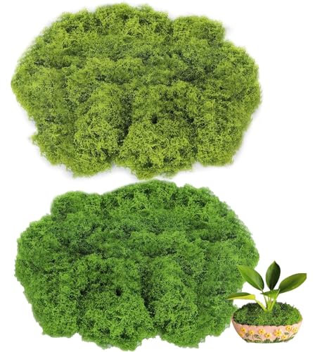 MOAZIFI Moos in 2 versch Farben, 100g für Moosbilder, Moosbild, Kunstmoos, Moos zum Basteln, Kunstmoos zum Basteln, Osterdeko, Frühlingsdeko, Dekoration für Ostern und Frühling