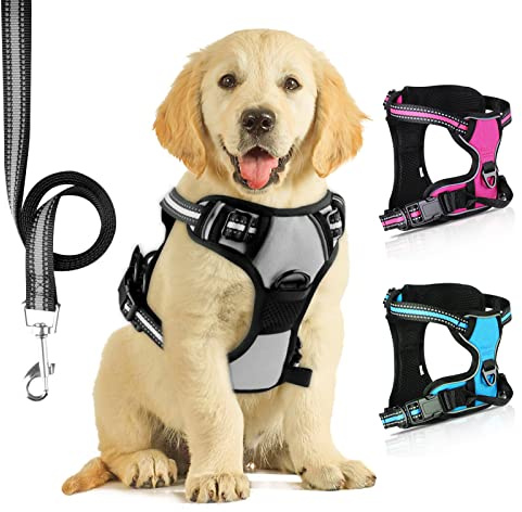 SIBOTER Harnais Chien, Harnais Anti Traction pour Chien, Harnais Chien Anti Traction Réfléchissant, avec Laisse pour Chien, pour Entraînement en Plein Air, Gris, S