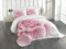 ABAKUHAUS Blassrosa Tagesdecke Set, Rosenblätter Schönheit, Set mit Kissenbezügen Romantischer Stil, für Doppelbetten 264 x 220 cm, Pale Pink White