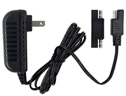 6V Charger for Disney Quad Pacific Cycle Marvel The Avenger Good Dinosaur Princess Fairies Minnie Mouse Frozen CAR McQueen ATV 6V Battery Ride ON Walmart Target Toy R US