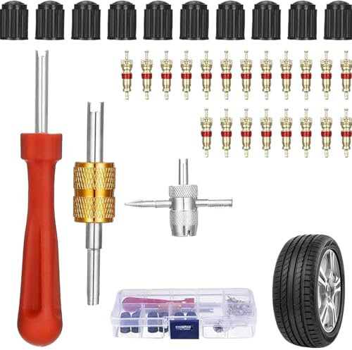 Outil d'agrafage de noyau de valve - Outil pour enlever l'insert de valve de climatisation - Outil de retrait multifonction en métal pour voiture, moto