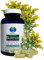 Echte GOLDRUTE Solidago 120 KRÄUTER Kapseln [OHNE ZUSATZSTOFFE] zur FREUDE von NIEREN - BLASE - HARNWEGE [NATUR pur] 26935-120