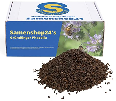 Phacelia tanacetifolia Nützlingsmagnet 1kg für ca. 250 m², Gründünger Bienenweide Nektarspender Bodenkur Samenshop24®