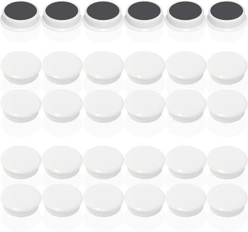 DUJEQM Calamite Frigorifero, 30 Pezzi Calamite Potenti, Mini Calamite Piccole, Magneti per Lavagna Magnetica, Magnete Potente Calamita Frigo per Calendario Bacheca Foto Casa Ufficio Scuola - Bianco