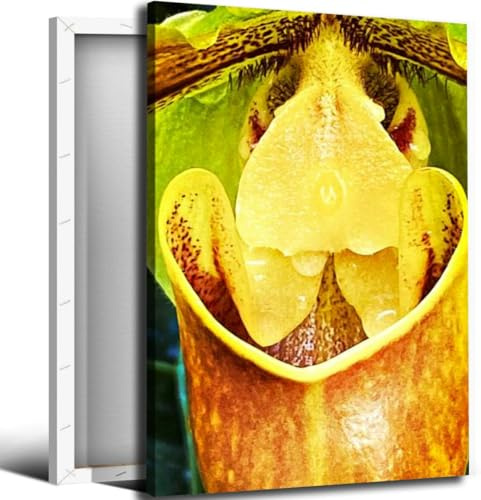 Tropical Pitcher Plant Bathroom Canvas Wall Art Decor Framed Photo Prints Picture for Bedroom Living Room Office Kitchen Posters Painting Artwork 16x20